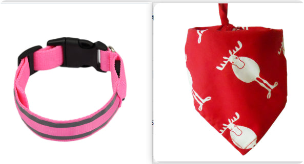 Anti-lost safety Led Dog Collar