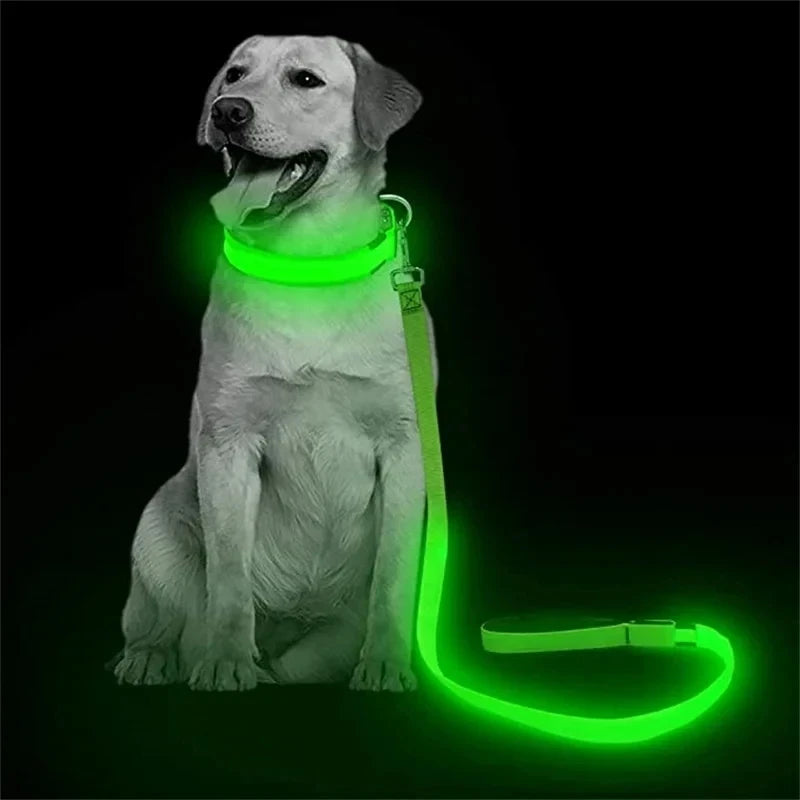 Led Pet Dog Leash Rope With Light Luminous  Lead Leash USB Charging for Dog Safety Flashing Glowing Collar Harness Accessories