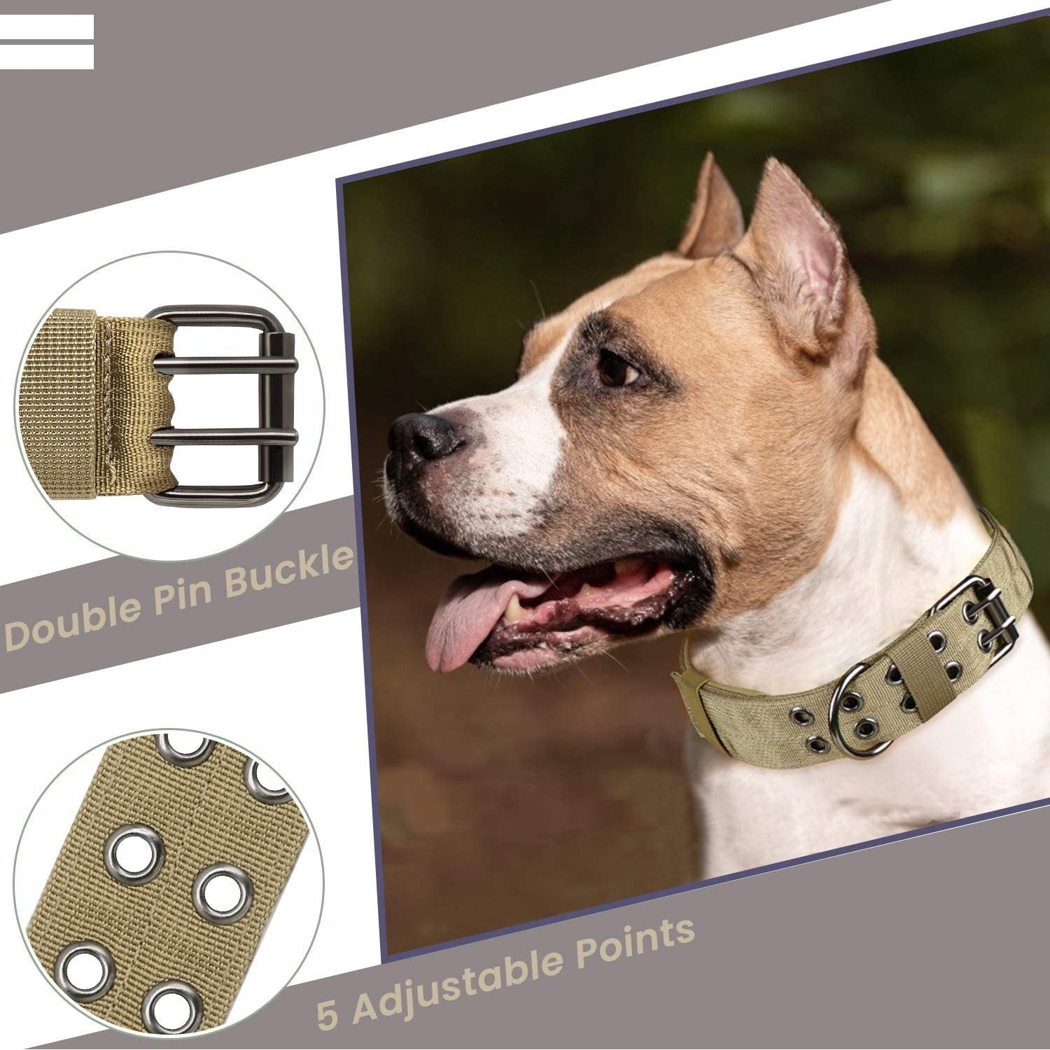 Medium Large Dog Collar Harness