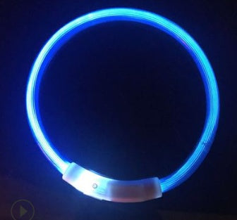 USB charging light Dog collar