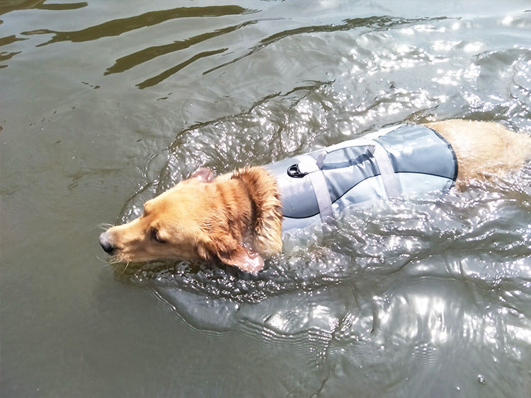 Comfortable Dog life jacket