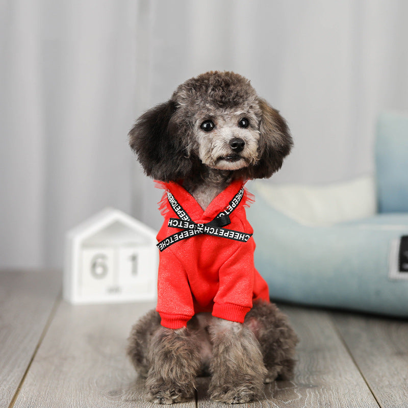 Durable webbing design Dog Clothing