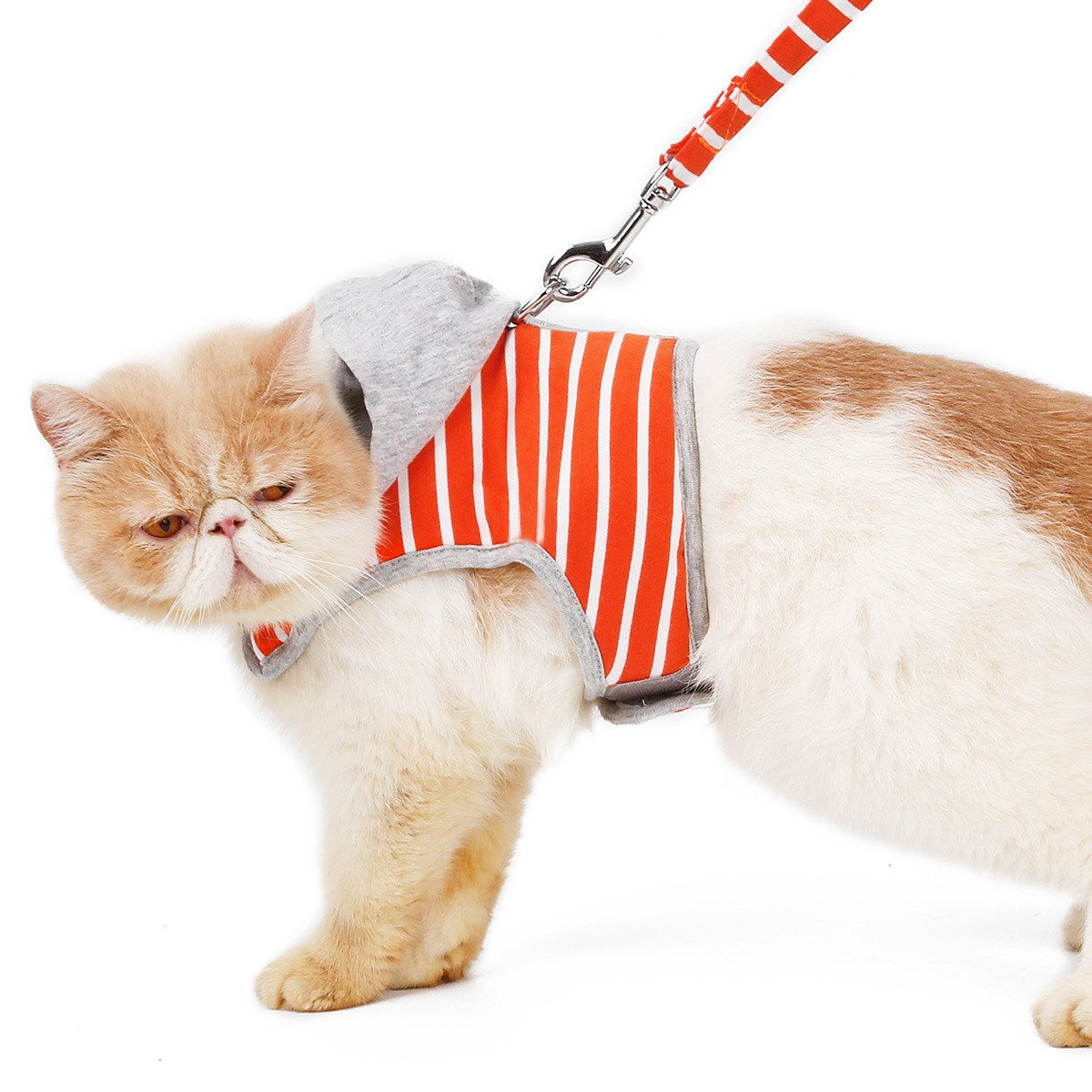 Cat outing chest harness
