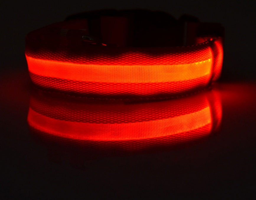 Night Safety Luminous  Cat Collar
