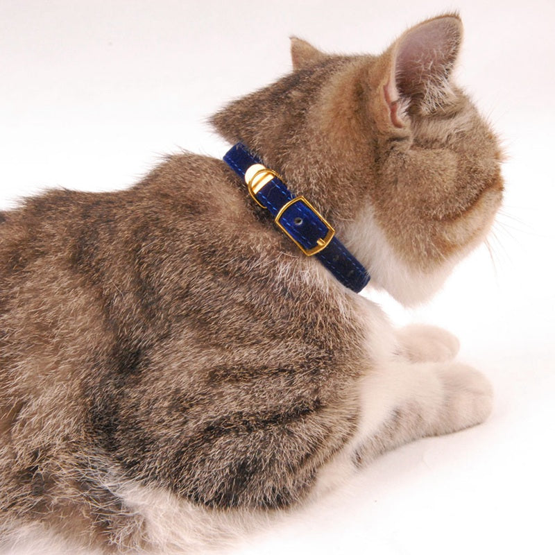 comfortable stylish cat collar