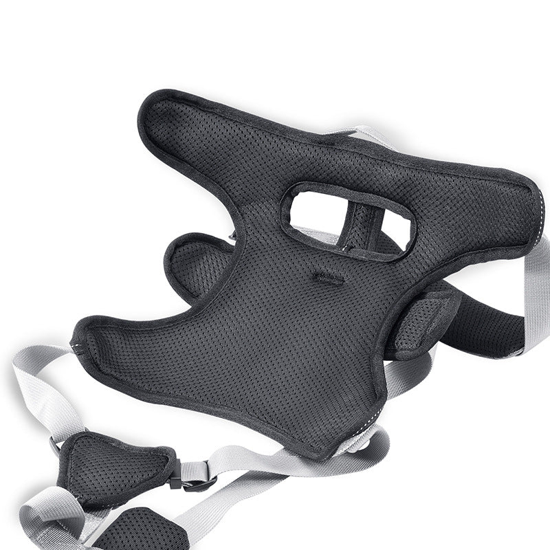 Dog leash collar Harness