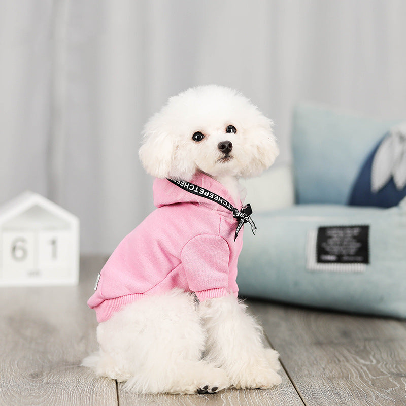 Durable webbing design Dog Clothing
