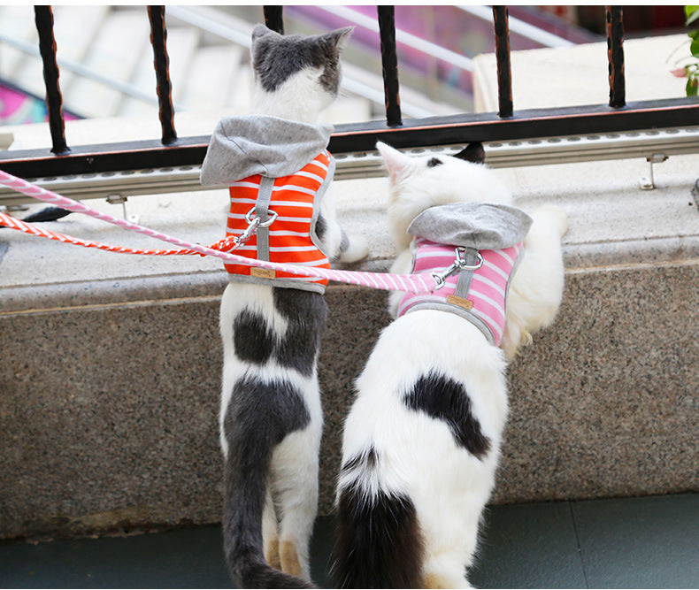 Cat outing chest harness
