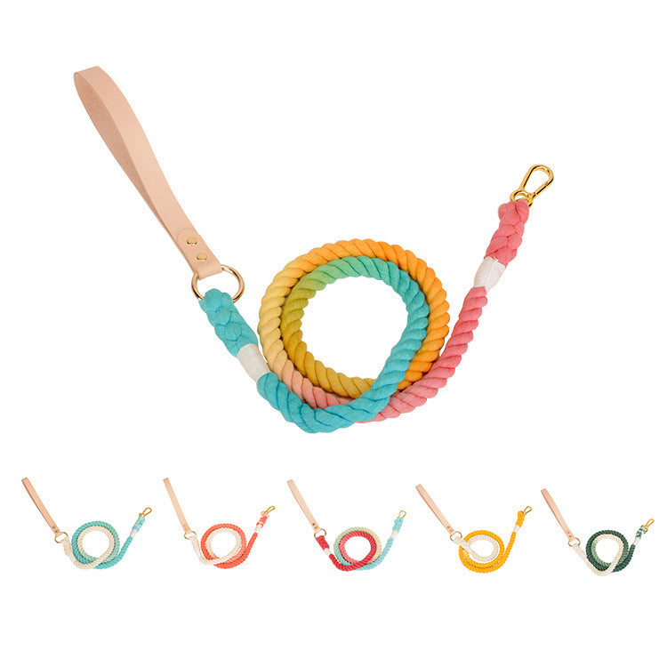 Color Leash Pet Traction Rainbow