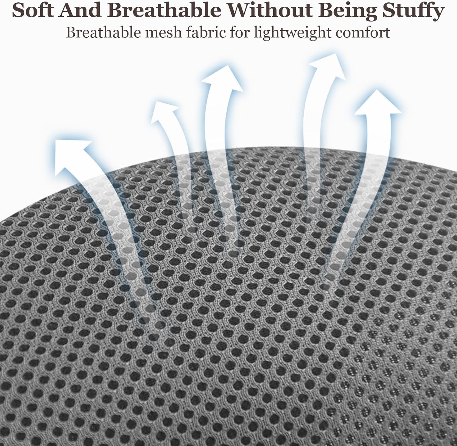 Cat Chest Harness And Leash