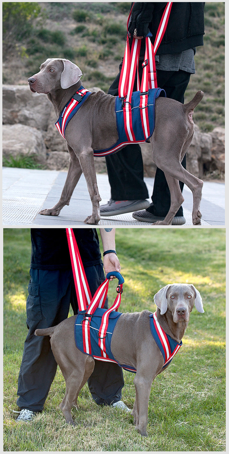 Pet Harness For Elderly Dogs