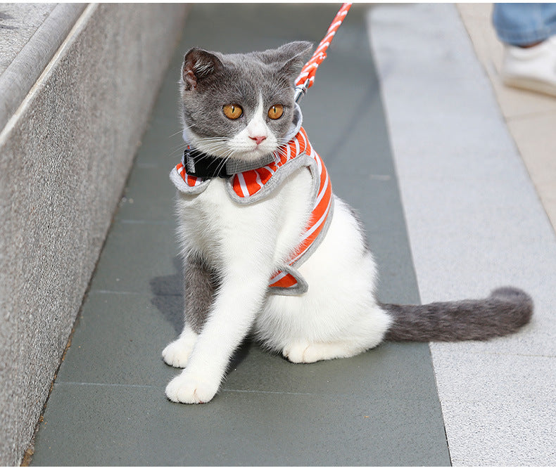Cat outing chest harness