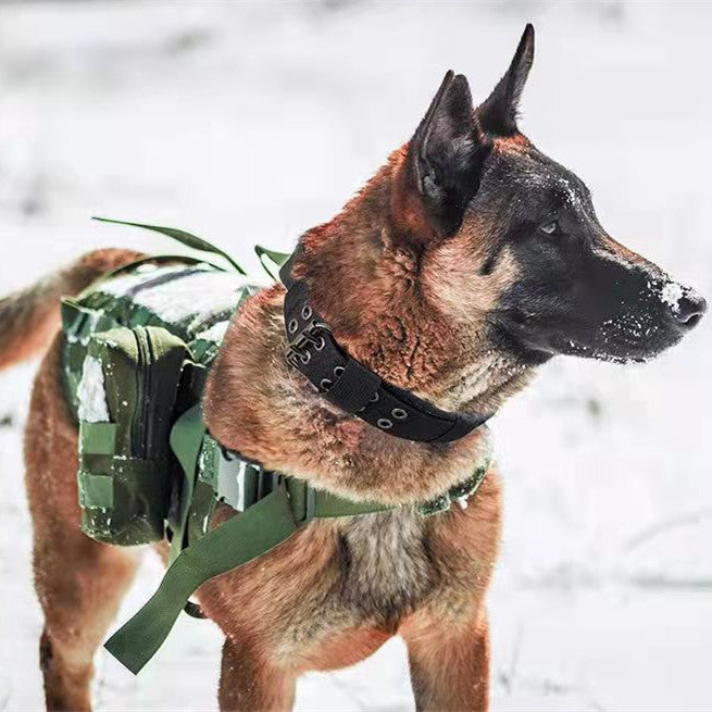 Medium Large Dog Collar Harness