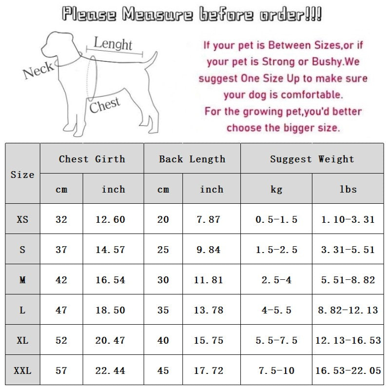 Cheerful Cat Cartoon Star Striped