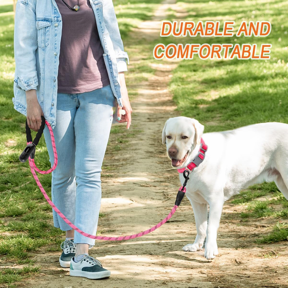 Dogs and Cats Leash Walking