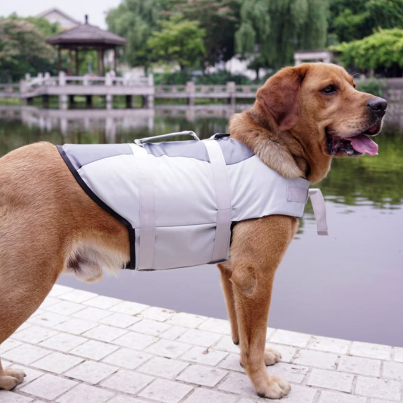 Comfortable Dog life jacket
