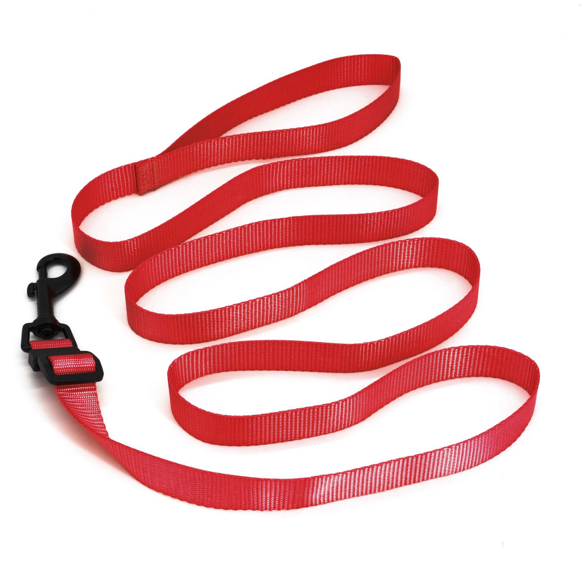 Cat Harness And Car Seat Belt Adapter