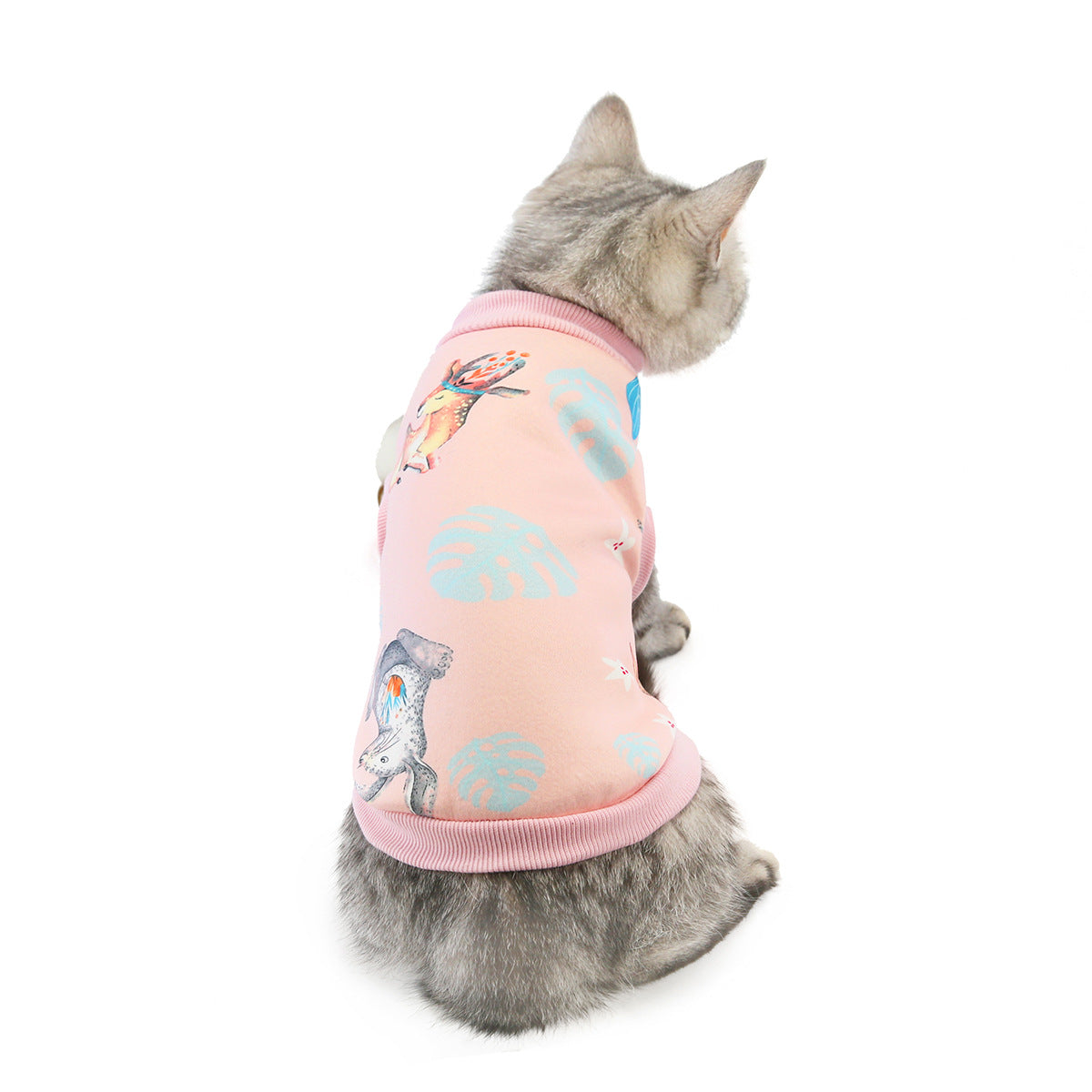 Cute Designs Cat Clothing