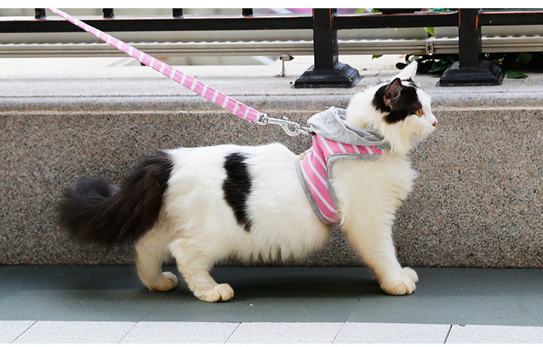Cat outing chest harness