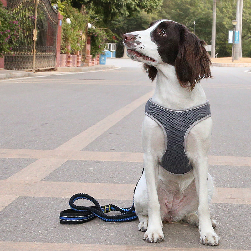 Dog Comfort-Focused Fit Harness