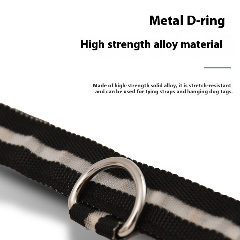 Luminous Dog Walking Light