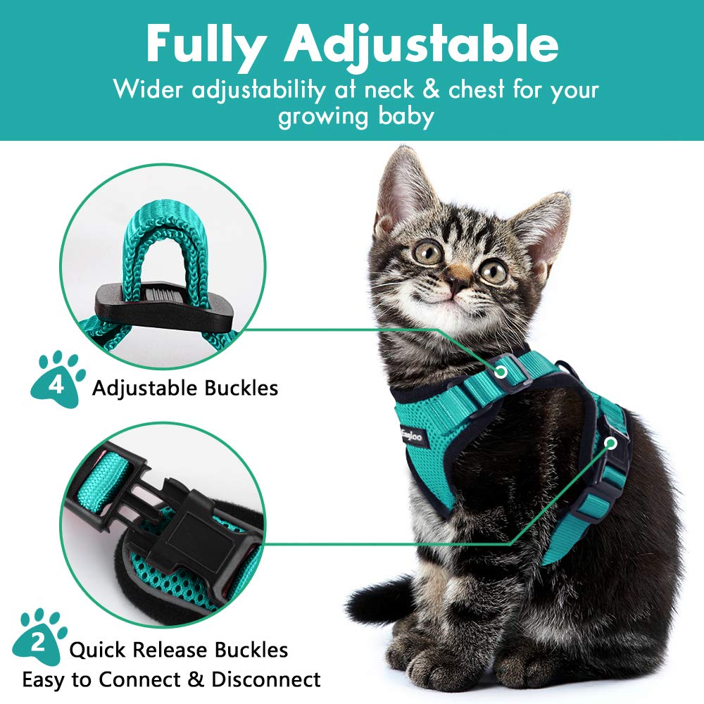 Cat Harness And Car Seat Belt Adapter