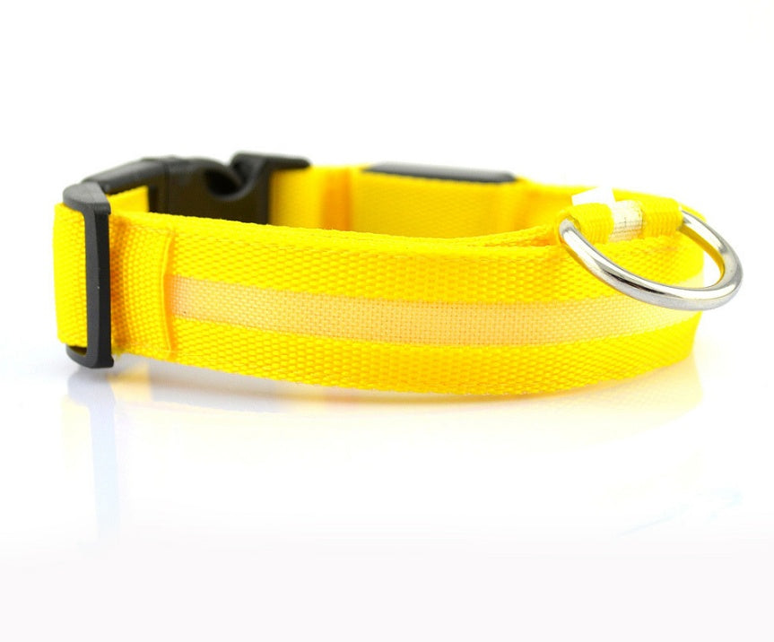 Night Safety Luminous  Cat Collar