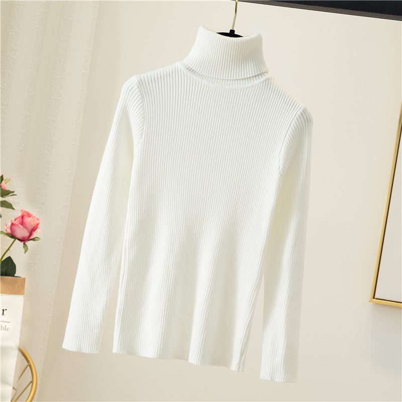 Women Turtleneck Sweater