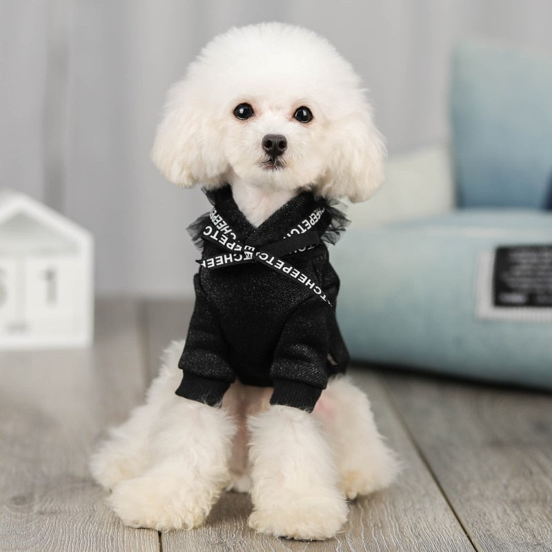 Durable webbing design Dog Clothing