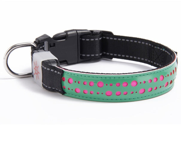 LED light style Cat collar