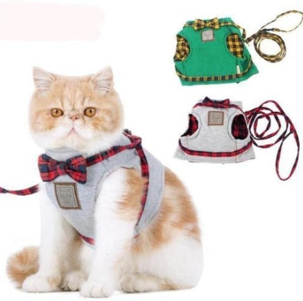 Kitty Cat Perfect Harness Offer