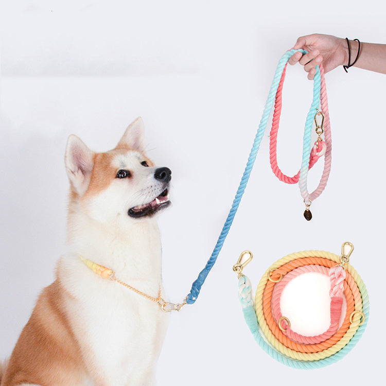 Color Leash Pet Traction Rainbow
