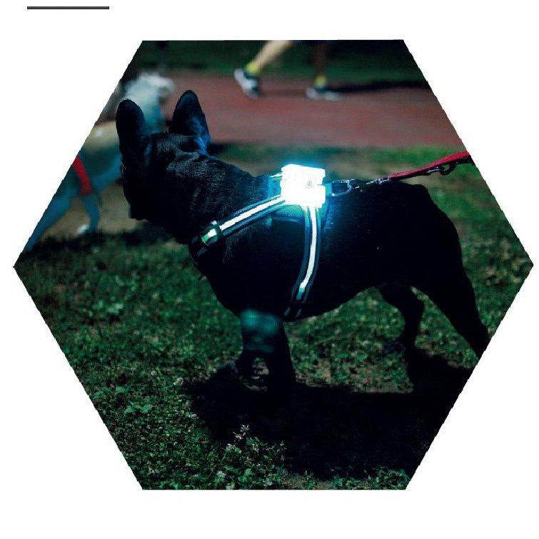 Anti-lost Warning Flashing Dog Harness