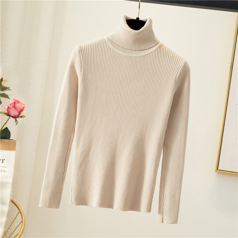 Women Turtleneck Sweater