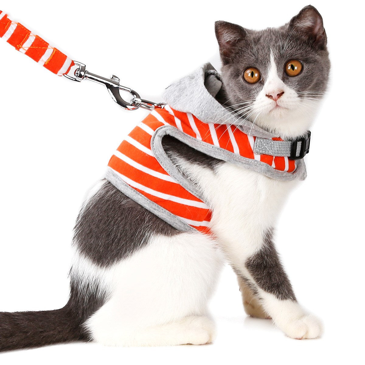 Cat outing chest harness