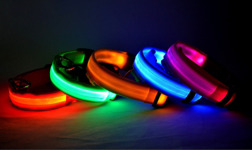 Night Safety Luminous  Cat Collar