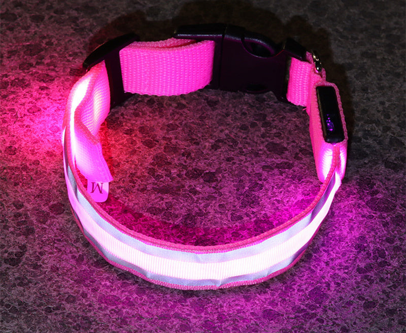 Anti-lost safety Led Dog Collar