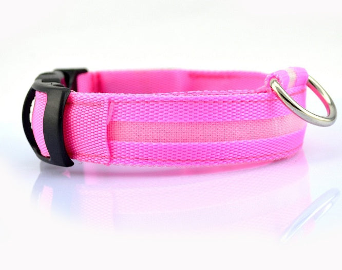 Safety Stylish Dog LED Collar