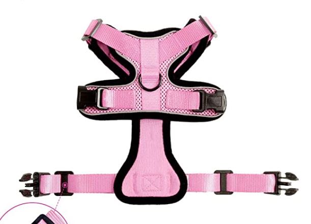 Cat Harness And Car Seat Belt Adapter