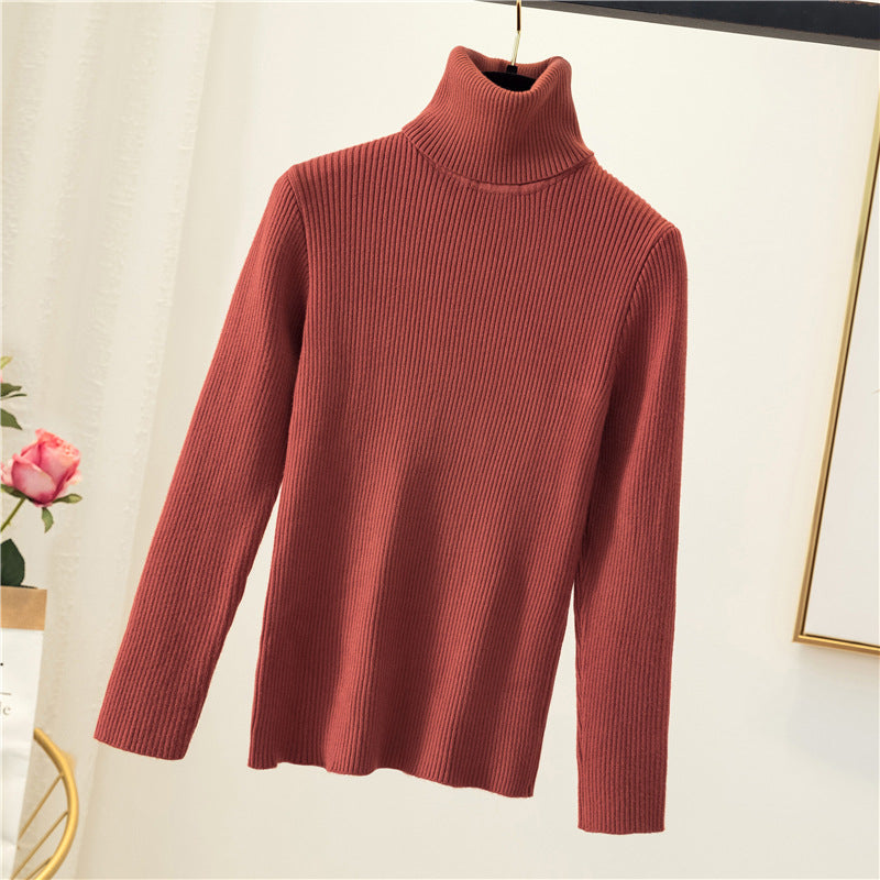 Women Turtleneck Sweater