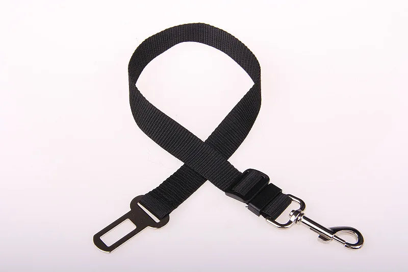 Dog Training Leashes Pet Supplies Walking Harness Collar Leader Rope for Dog or Cat Walking Training