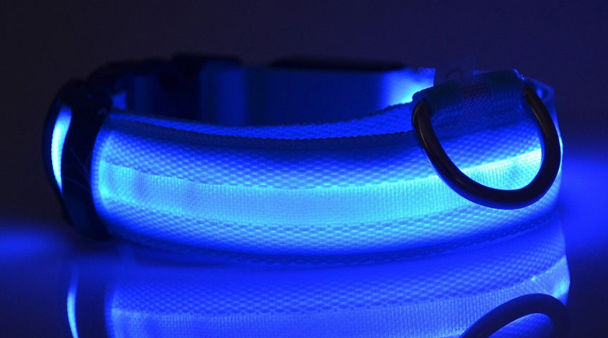 Night Safety Luminous  Cat Collar
