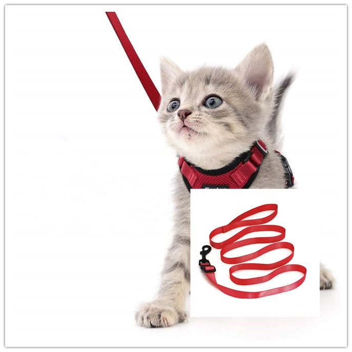 Cat Harness And Car Seat Belt Adapter