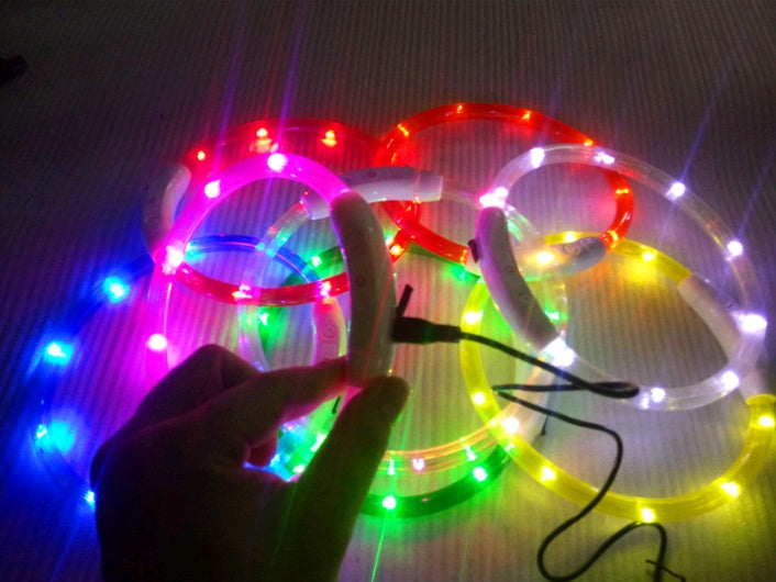 USB charging light Dog collar