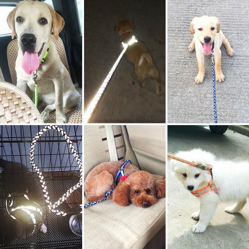Pet Reflective dog and Cat leash