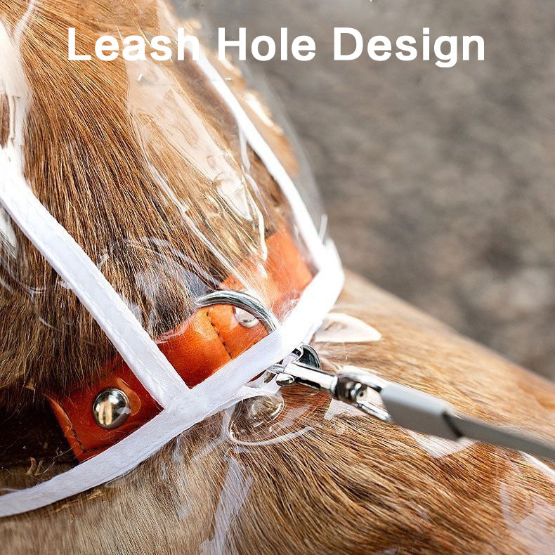 Dog Lightweight Raincoat Transparent