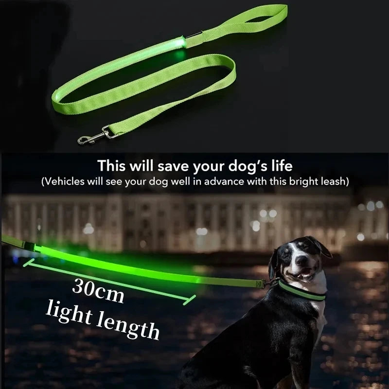 Led Pet Dog Leash Rope With Light Luminous  Lead Leash USB Charging for Dog Safety Flashing Glowing Collar Harness Accessories