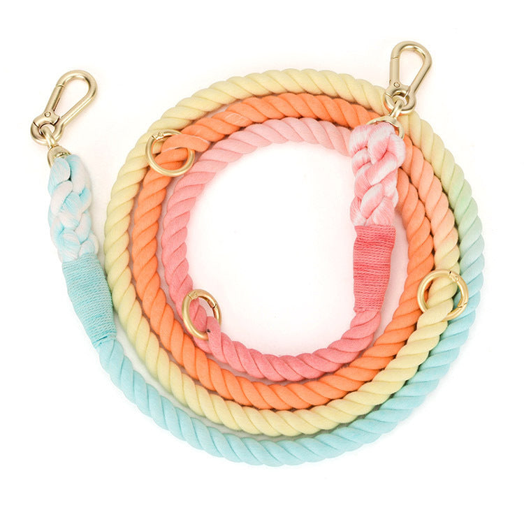 Color Leash Pet Traction Rainbow