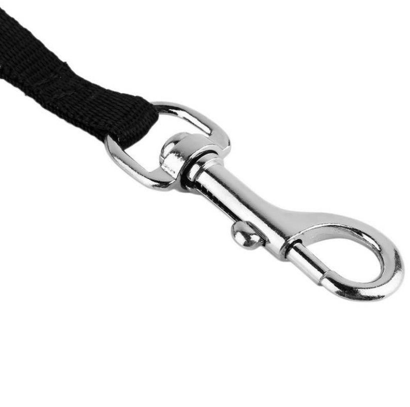 Dog and Cat Automatic Retractable