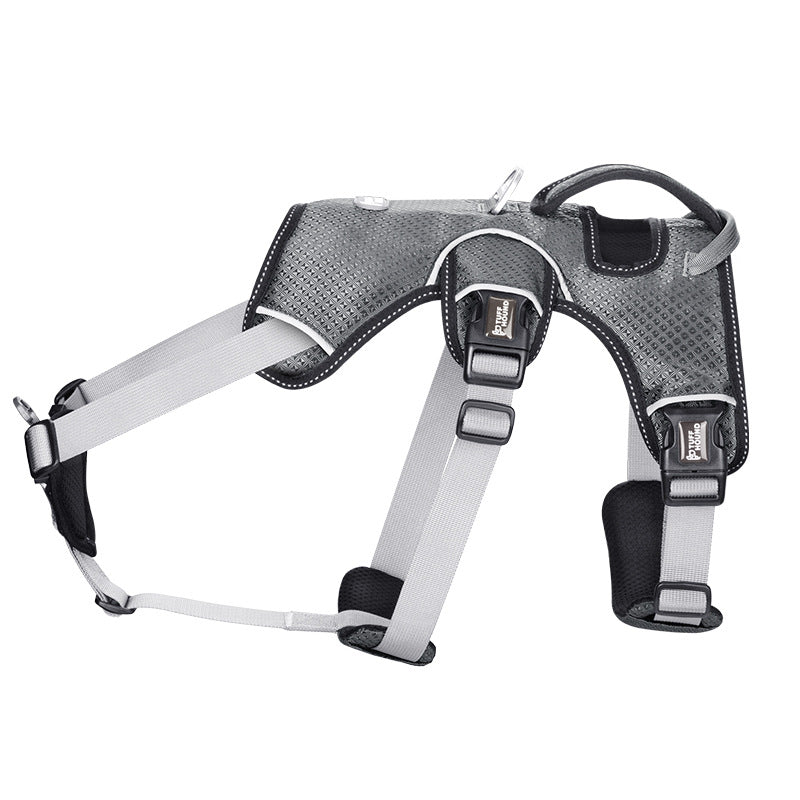 Dog leash collar Harness